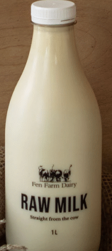 healthy pregnancy diet