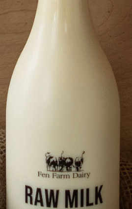 healthy pregnancy diet